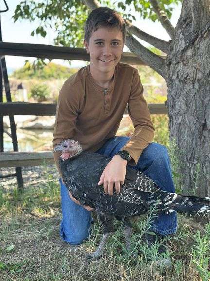 Tucker Ewing Turkey