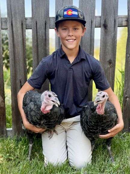Noah Shaw Turkey