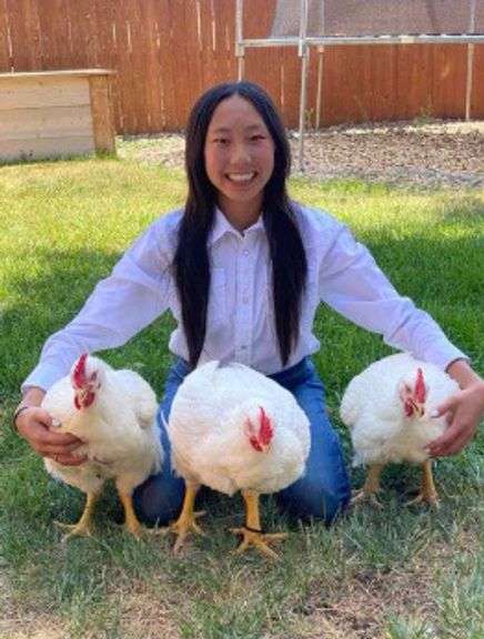 Autumn Woods Chicken