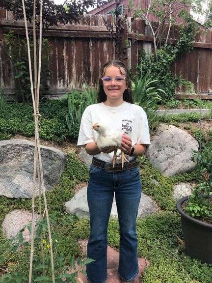 Quinn Fletcher Chicken