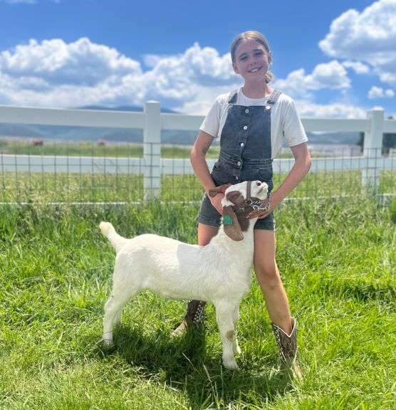 Mila Bartlett Goat