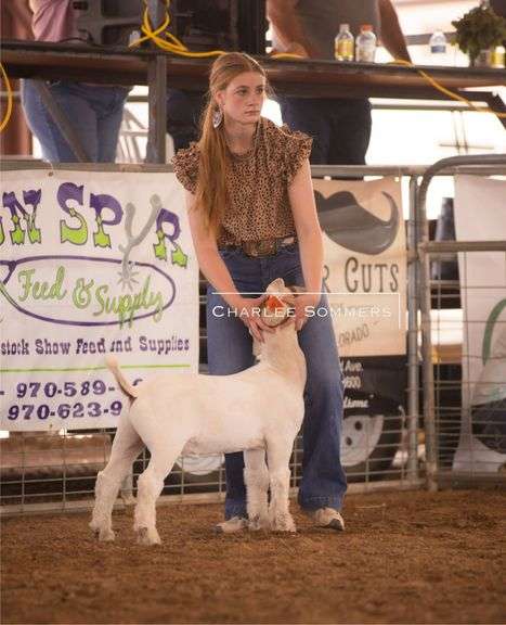Alyah Ahring Goat