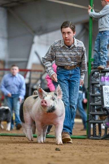 Tucker Ewing Swine
