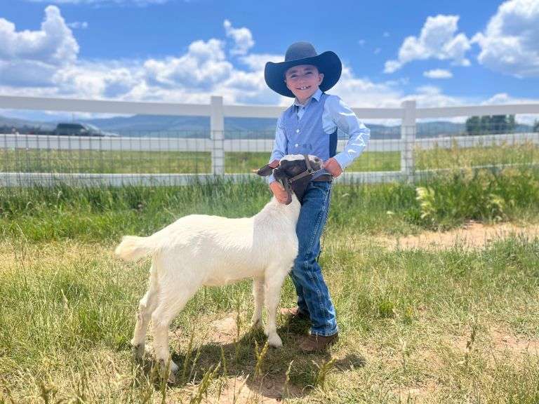 Duke  Bartlett Goat