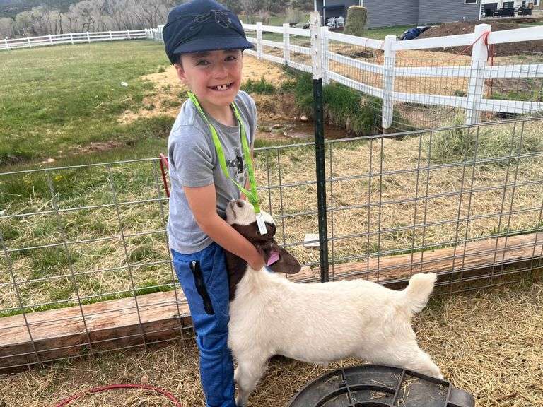 Duke  Bartlett Goat