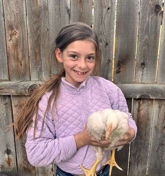 Hadley Skinner Chicken
