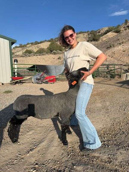 Kennedy Brugger Sheep