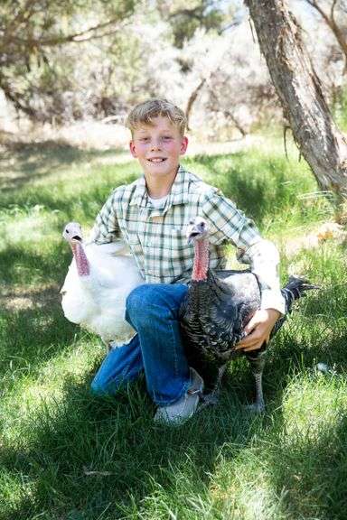 Cooper Botkins Turkey