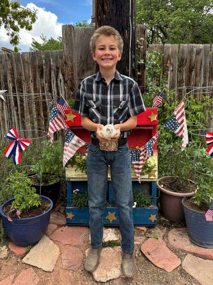 Rowan King Quail