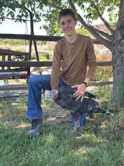Tucker Ewing Turkey