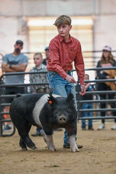 Jackson Hughes Swine