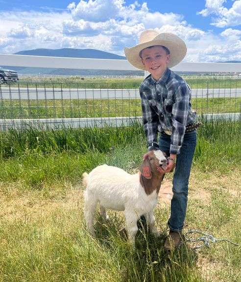 George Bartlett Goat