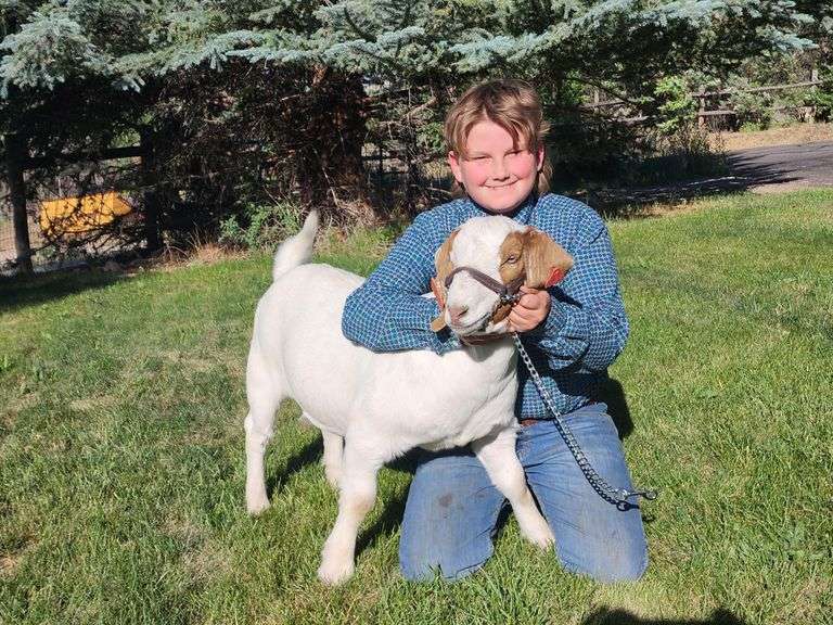 Matthew Bush Goat