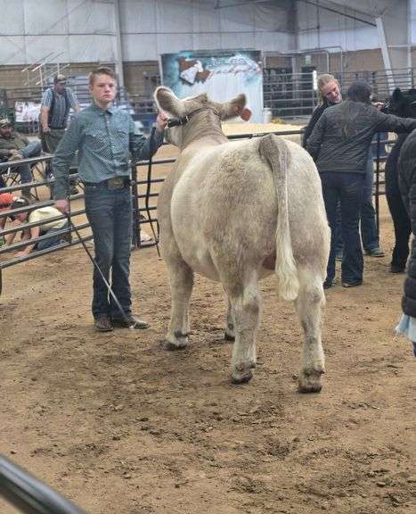 Colby Ahring Beef