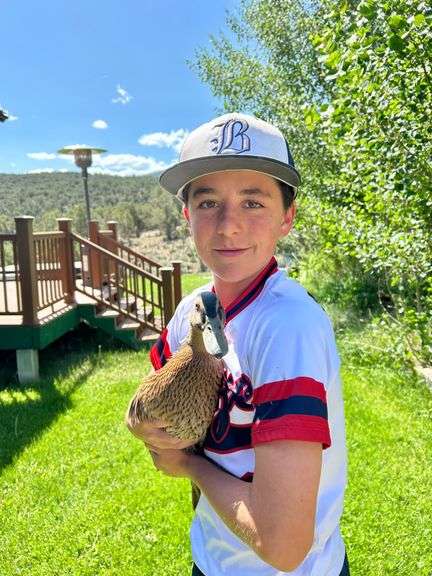 Cauley Mettler Duck