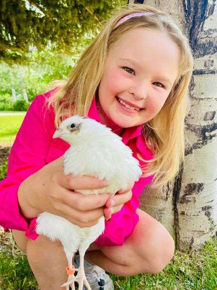 Katie Sprincz Quail