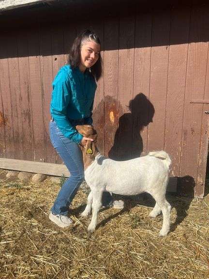 Kelsie Bergstreser Goat