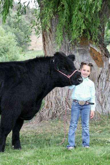 Paislee Luark Beef