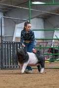 Avery Ewing Swine