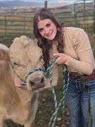 Alyah Ahring Beef