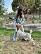 Hattie Rose Mettler Goat