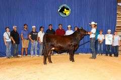 Semen Package: RMC Bobby Brown 226D