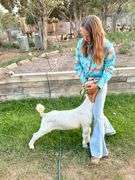 Hattie Rose Mettler Goat