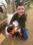 Duke  Bartlett Goat