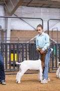 Avery Ewing Goat