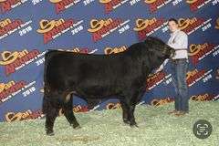 Semen Package: RMC Bobby Brown 226D