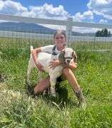 Mila Bartlett Goat