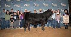 Semen Package: RGV DRC Paying the Bills