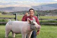 Tate Luark Swine