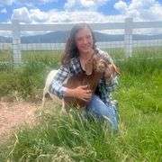 Dagny Bartlett Goat
