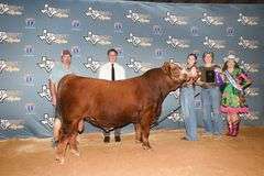 Semen Package: BLCO Rojo Mojo