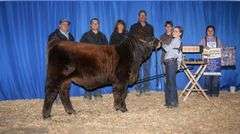 Semen Package: RMC Bobby Brown 226D