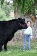 Paislee Luark Beef