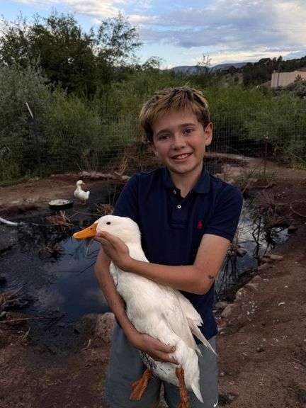 Rafael Romanin Duck