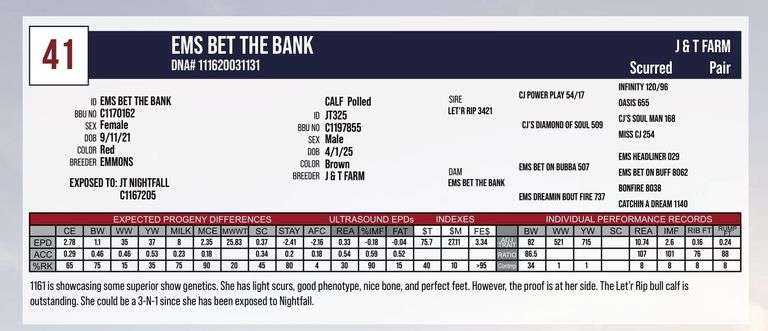 EMS BET THE BANK