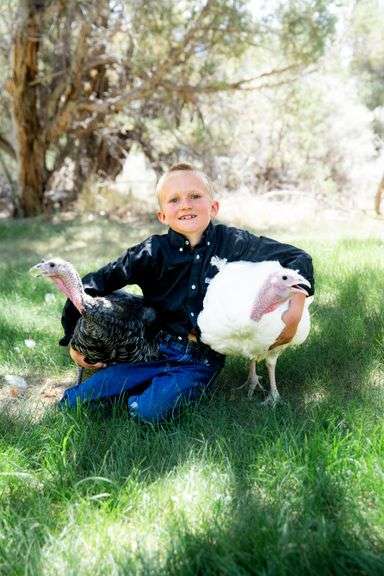Lane Ewing Turkey