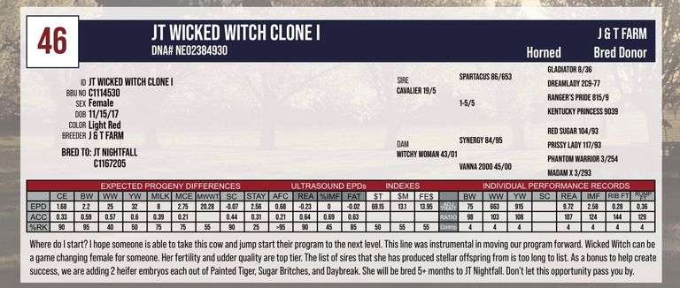 JT WICKED WITCH CLONE I