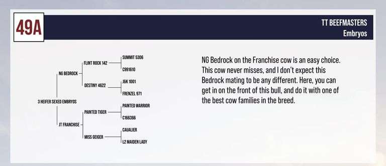 Sexed Heifer Embryo Package: NG BEDROCK x JT FRANCHISE