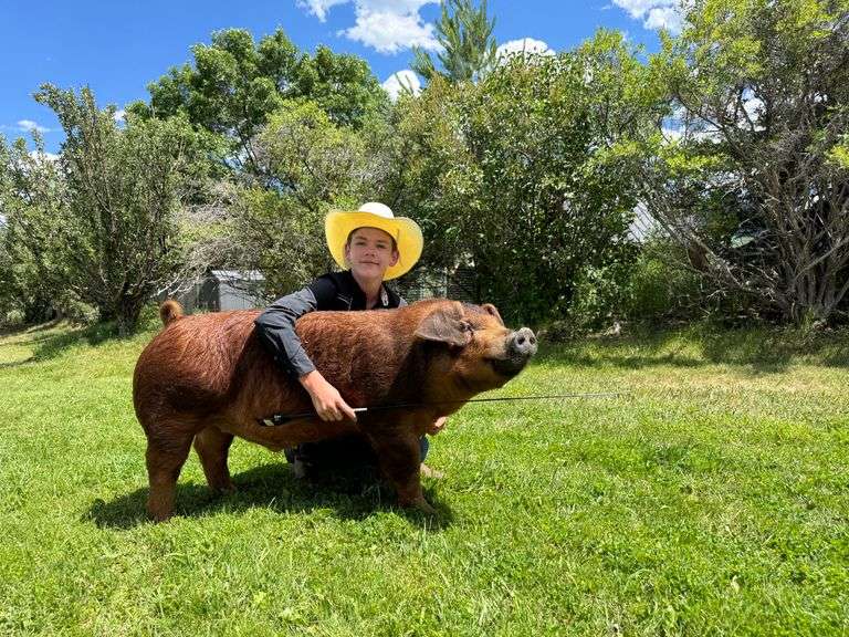 Desmond Parker Swine