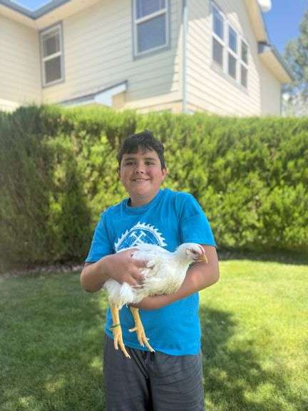 Eddie Silva Chicken