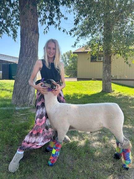 Claire Diss Lamb