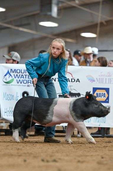 McKelly Ewing Swine