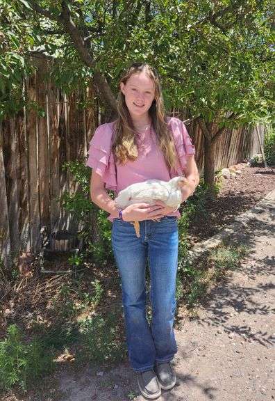 Madison Dallmann Chicken