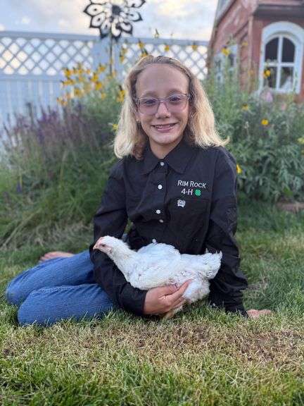 Savannah Herrle Chicken