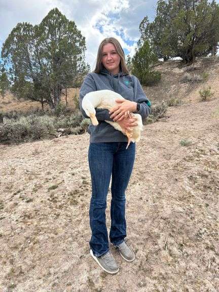 Lauryn Ward Duck
