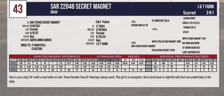 SAR 22048 SECRET MAGNET